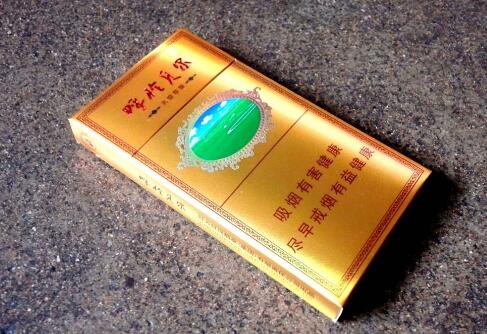 燃气热水器外烟